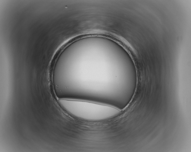 X0000108481364200904031111