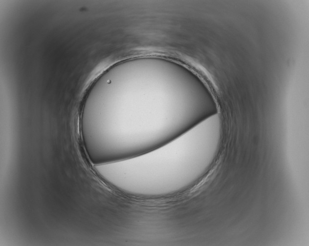X0000108481365200904031111