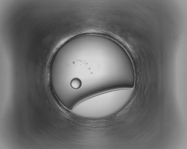 X0000108481367200904031111