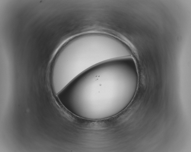 X0000108481368200904031111