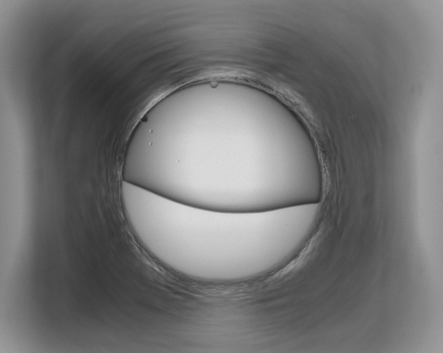 X0000108481369200904031111