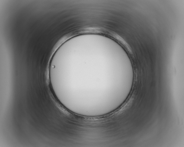 X0000108481370200904031111