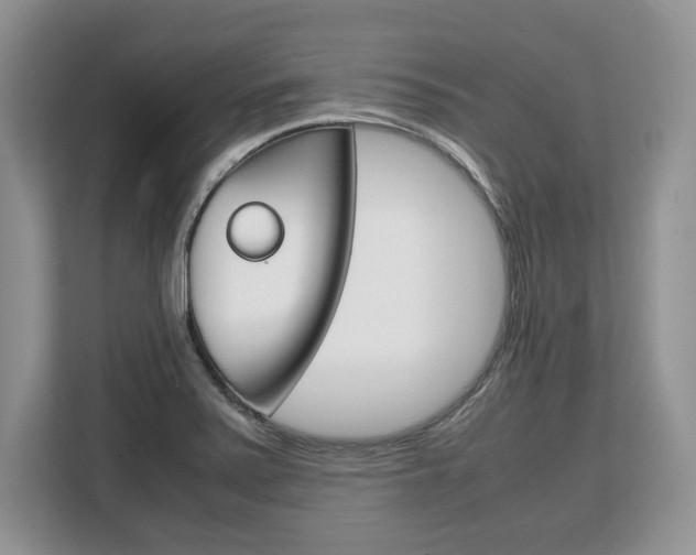 X0000108481371200904031111