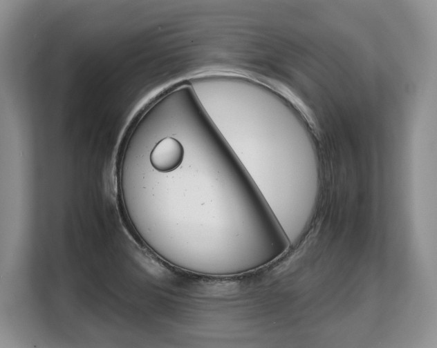 X0000108481372200904031111