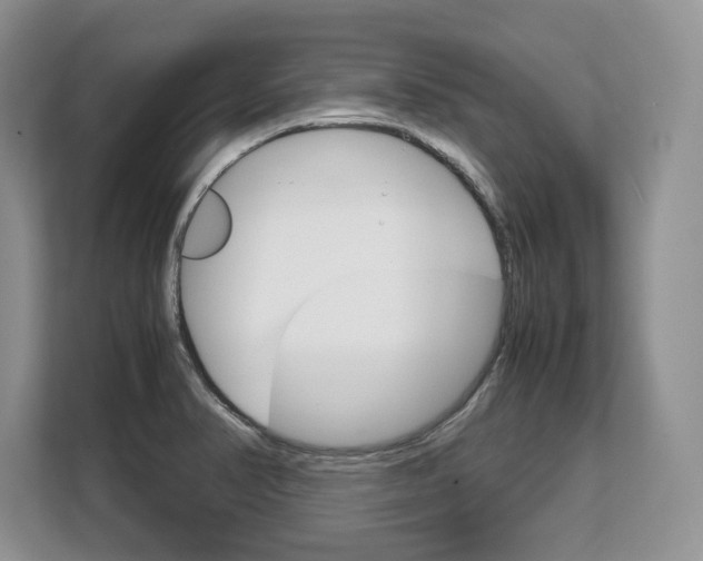 X0000108481374200904031111