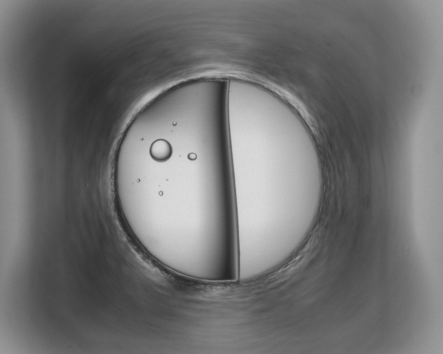 X0000108481375200904031111