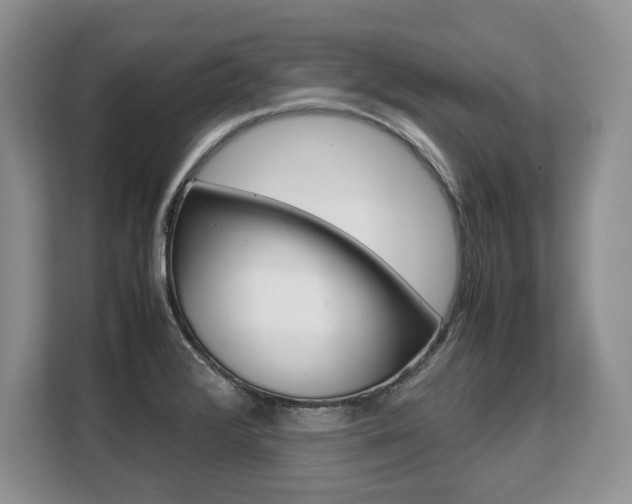 X0000108481376200904031111