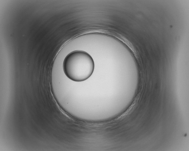 X0000108481377200904031111