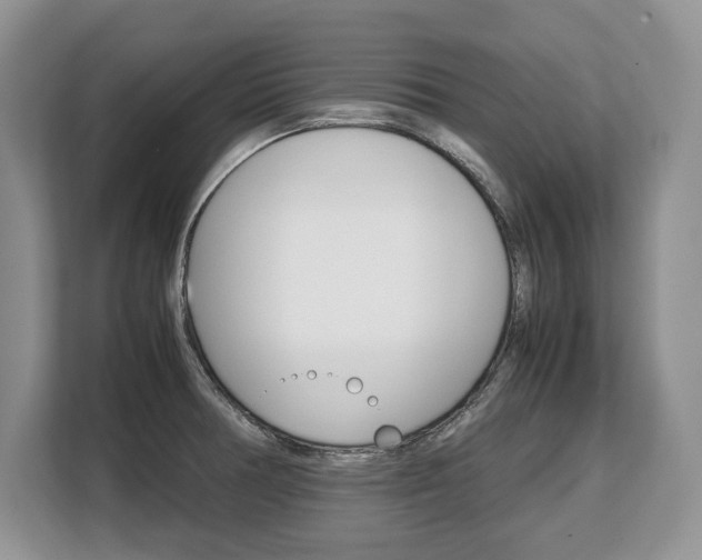 X0000108481378200904031111