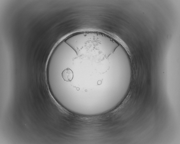 X0000108481380200904031111