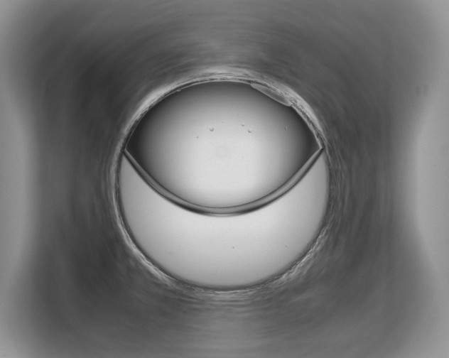 X0000108481381200904031111