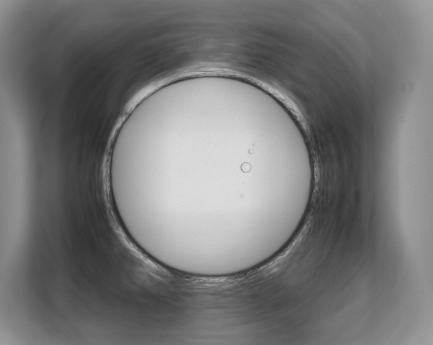 X0000108481382200904031111
