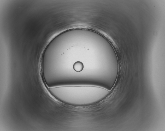X0000108481383200904031111