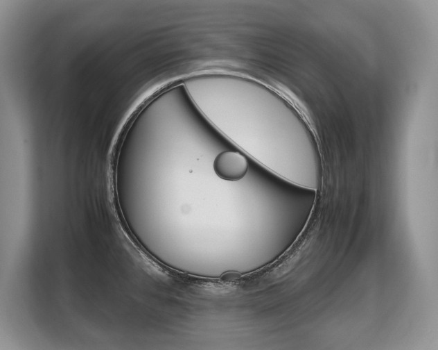 X0000108481384200904031111