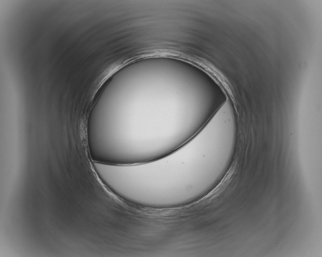 X0000108481385200904031111