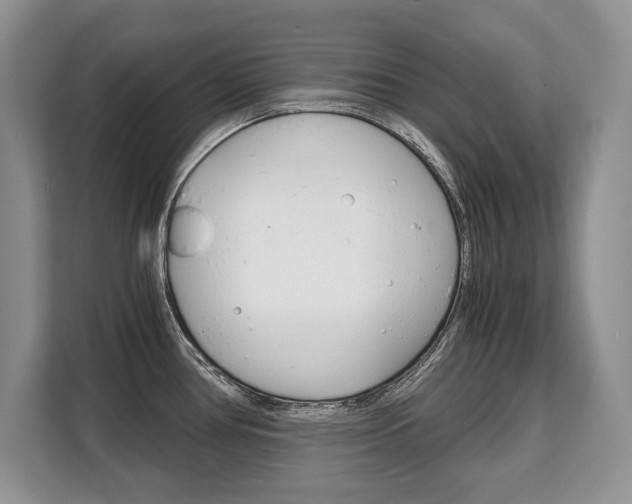 X0000108481386200904031111