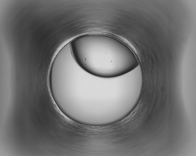 X0000108481387200904031111