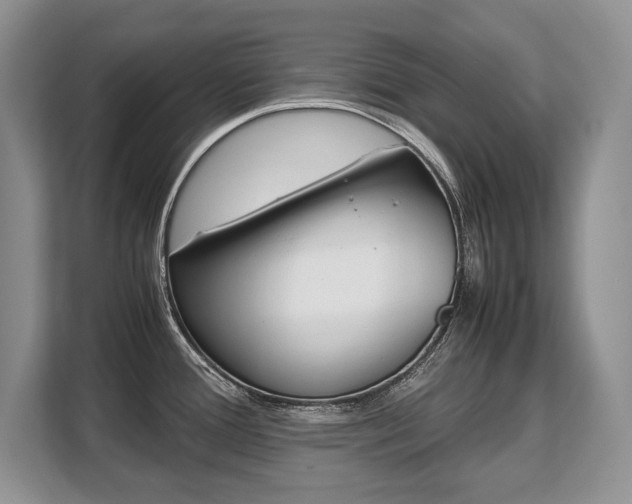 X0000108481388200904031111