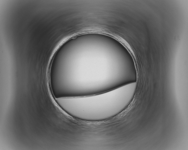 X0000108481389200904031111