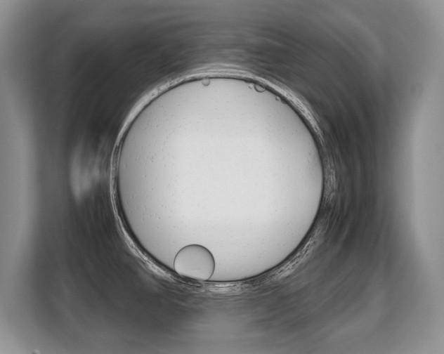 X0000108481390200904031111