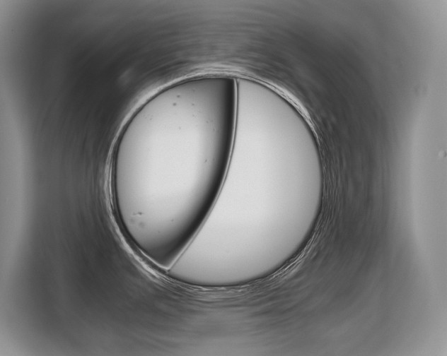 X0000108481391200904031111