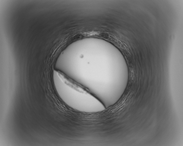 X0000108481393200904031110