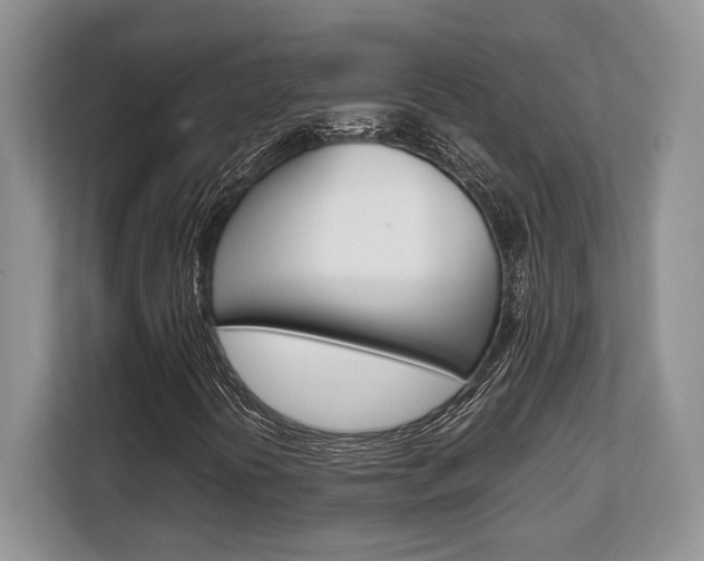 X0000108481394200904031110