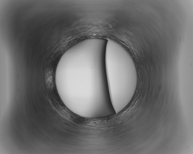 X0000108481396200904031110