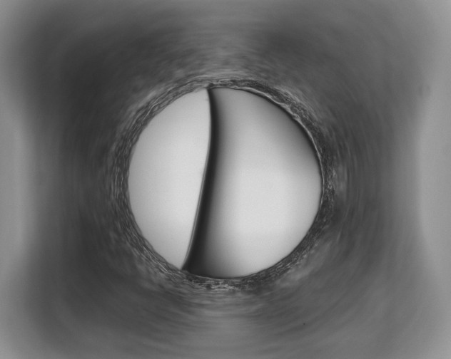 X0000108481398200904031110