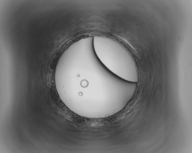 X0000108481399200904031110