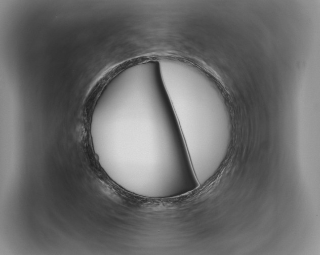 X0000108481400200904031110