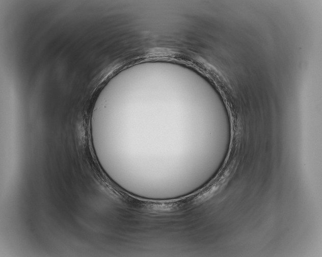 X0000108481401200904031110