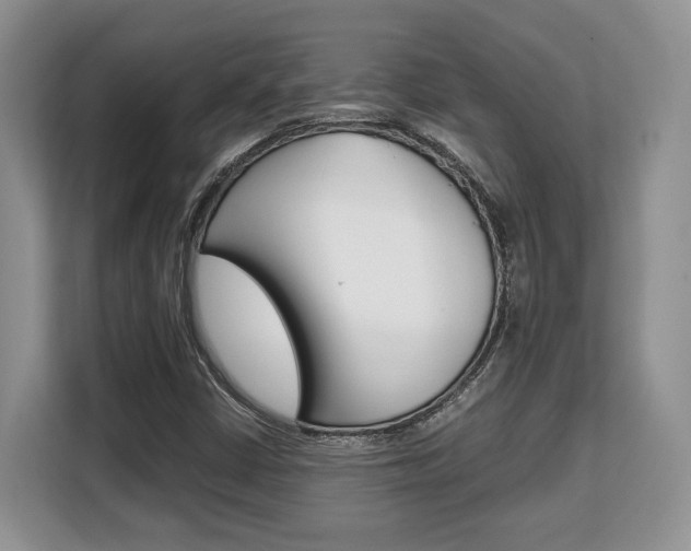 X0000108481402200904031110