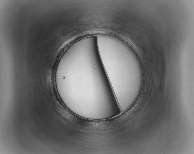 X0000108481404200904031110