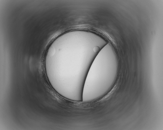 X0000108481405200904031110