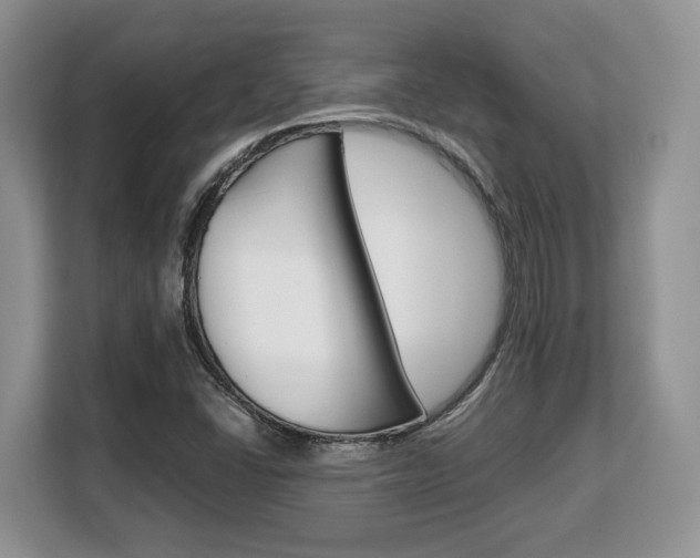 X0000108481406200904031110
