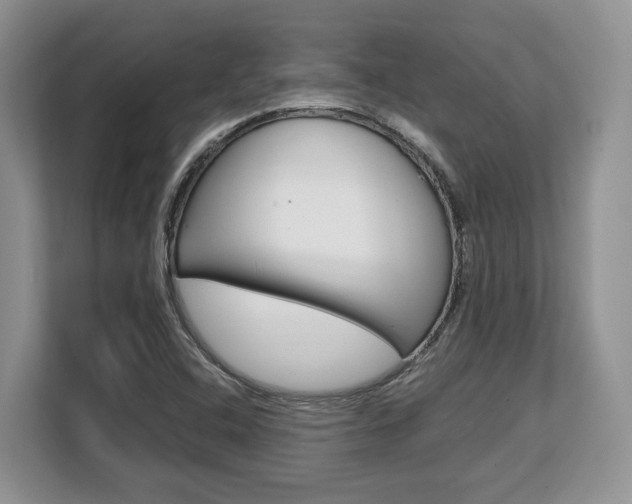 X0000108481408200904031110
