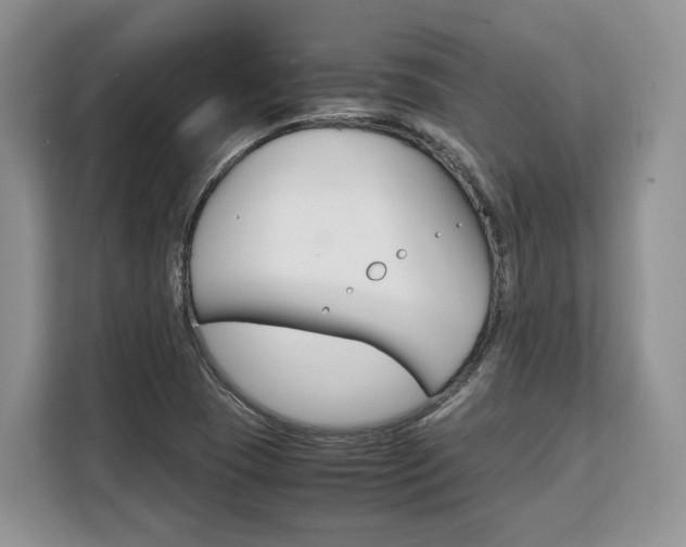 X0000108481409200904031110