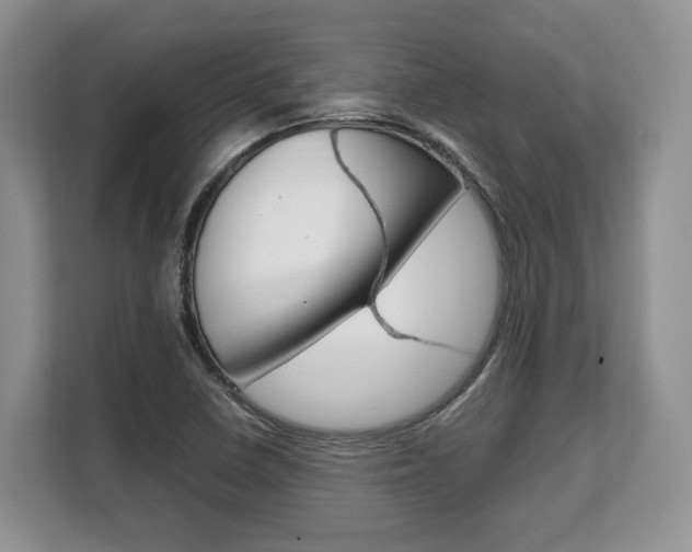 X0000108481410200904031110
