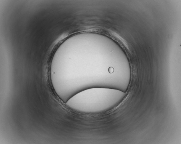 X0000108481411200904031110