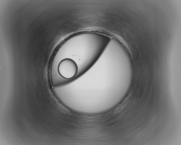 X0000108481412200904031110