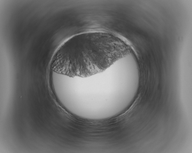 X0000108481415200904031110
