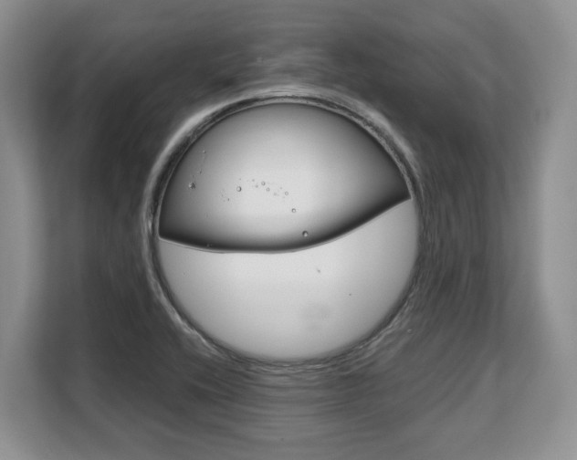 X0000108481416200904031110