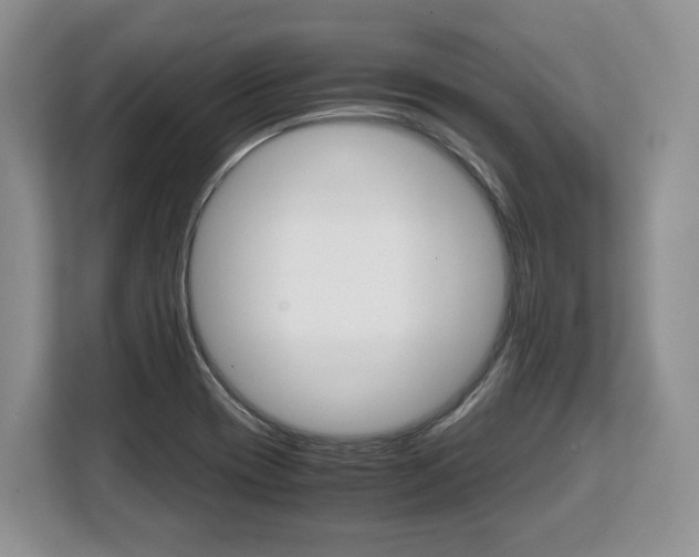 X0000108481417200904031110