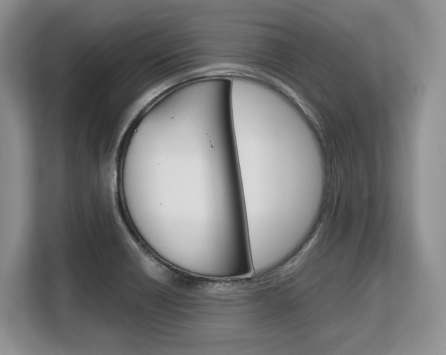 X0000108481418200904031110