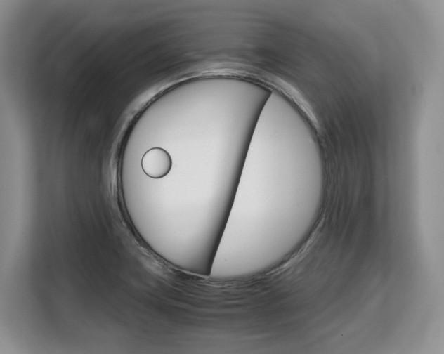 X0000108481419200904031110