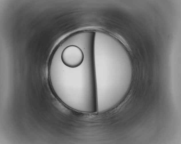 X0000108481420200904031110