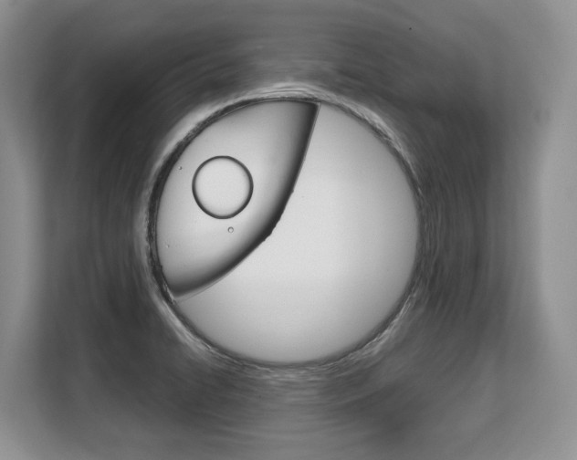 X0000108481422200904031110