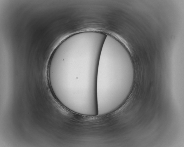 X0000108481423200904031110