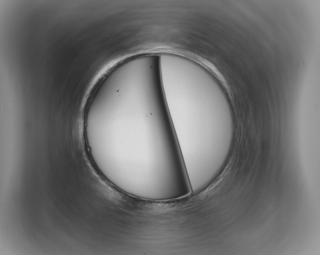 X0000108481424200904031110